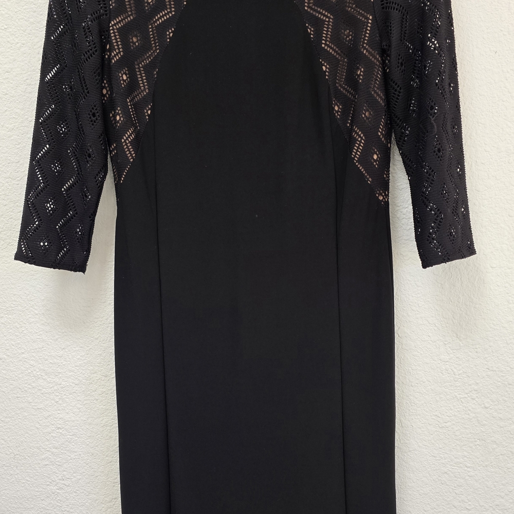 Elegant Black Lace Sleeve Dress